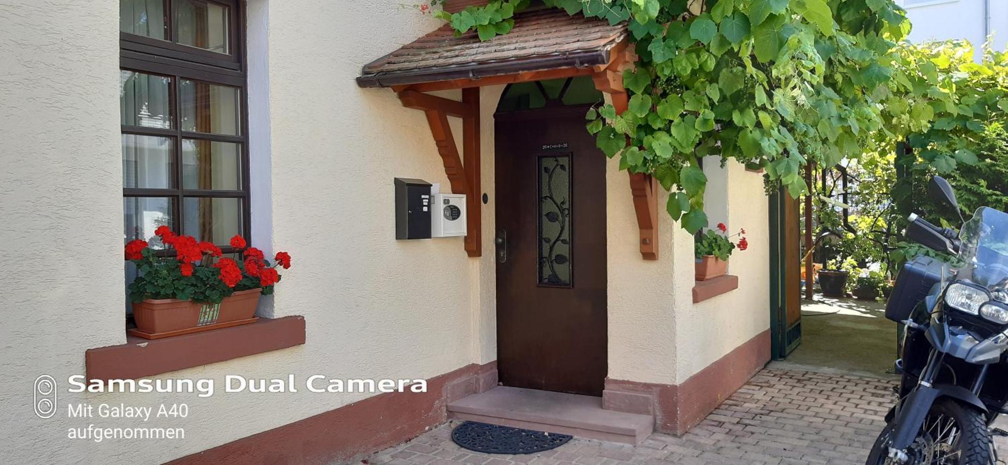 Gaestehaus Zu Herrenwiesen 海德堡 外观 照片